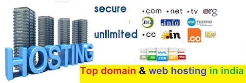 Top 5 Domain and Web Hosting Service Provider Companies