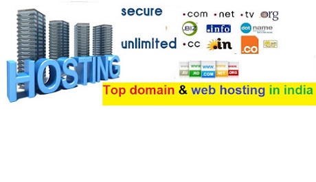Top domain and Web hosting Company in india