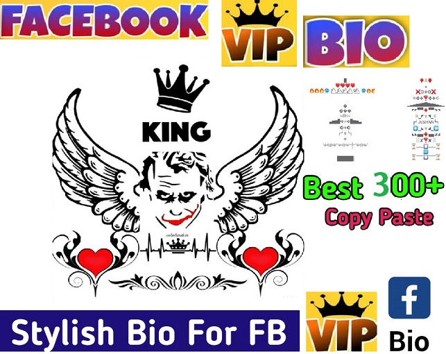 facebook VIP Bio